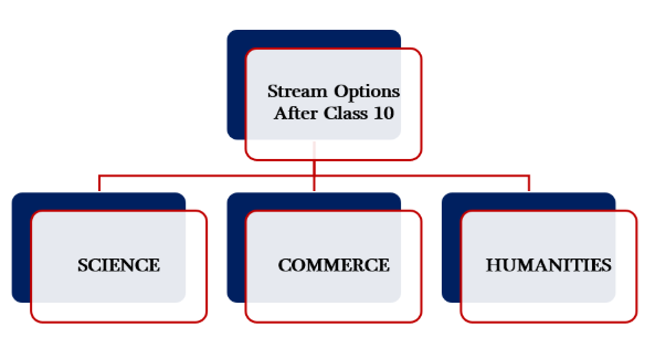 STREAMS AFTER CLASS 10th